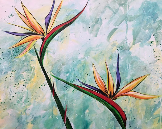 Birds of Paradise