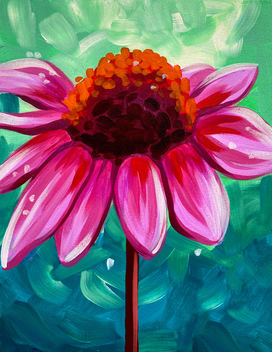 Coneflower