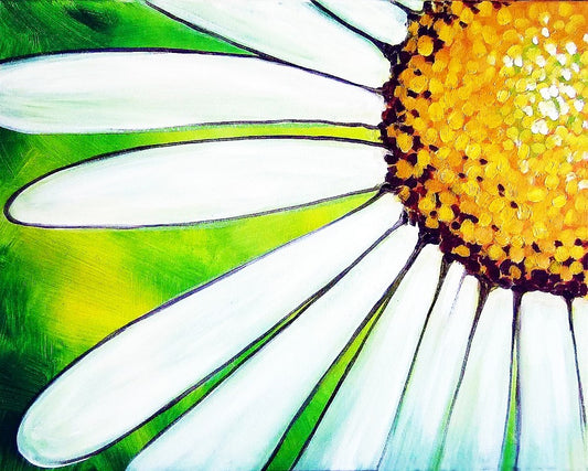 Daisy