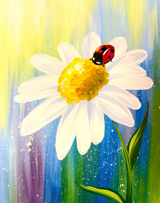 Daisy Dream