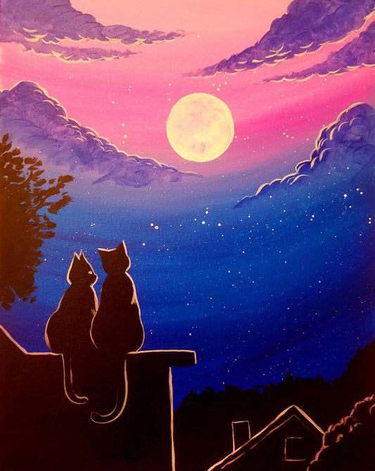 Midnight Meow