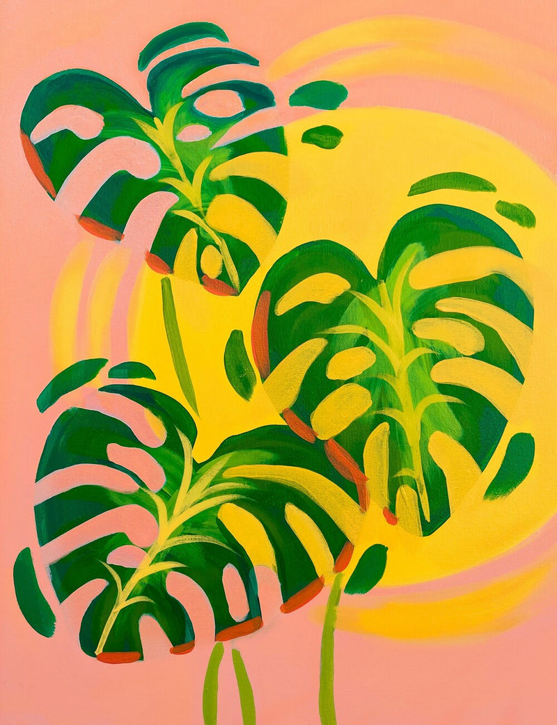 Monstera Sunrise