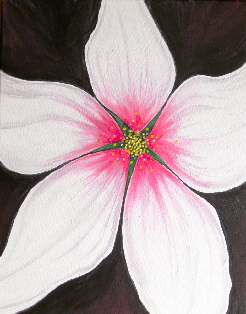 Stargazer Lily