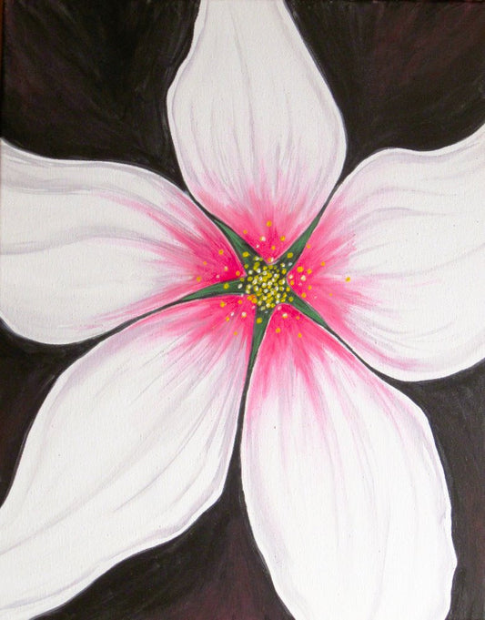 Stargazer Lily