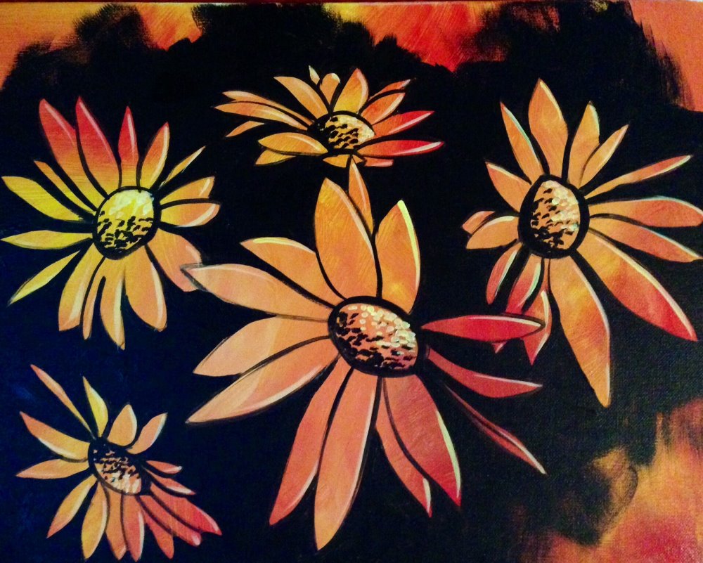 Sun Kissed Daisies