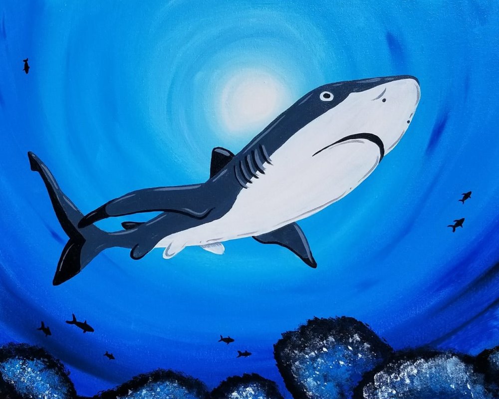 Swim with Sharks