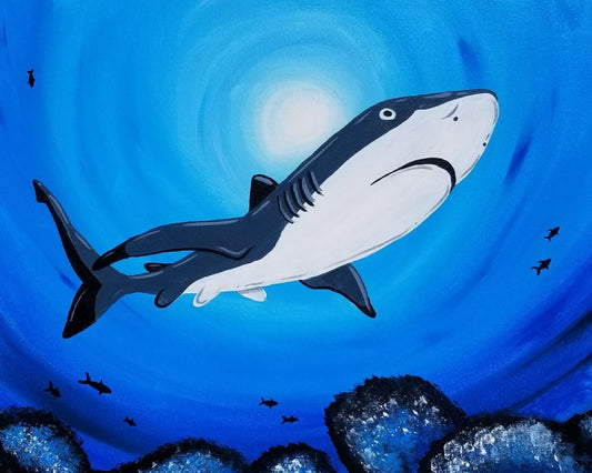 Swim with Sharks