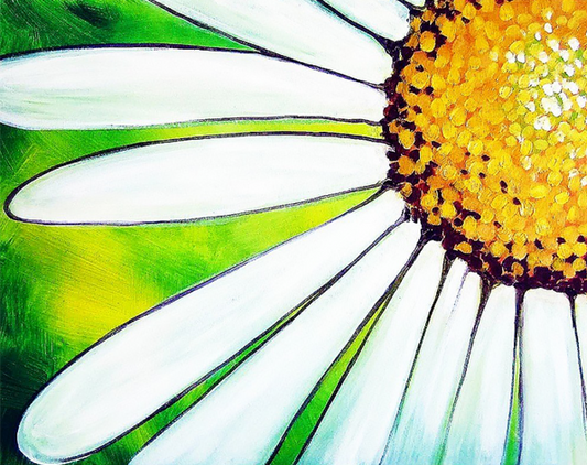 Daisy